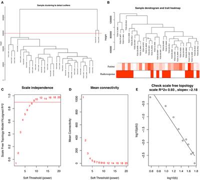 Identifying Long Non-coding RNA of Prostate Cancer Associated With Radioresponse by Comprehensive Bioinformatics Analysis